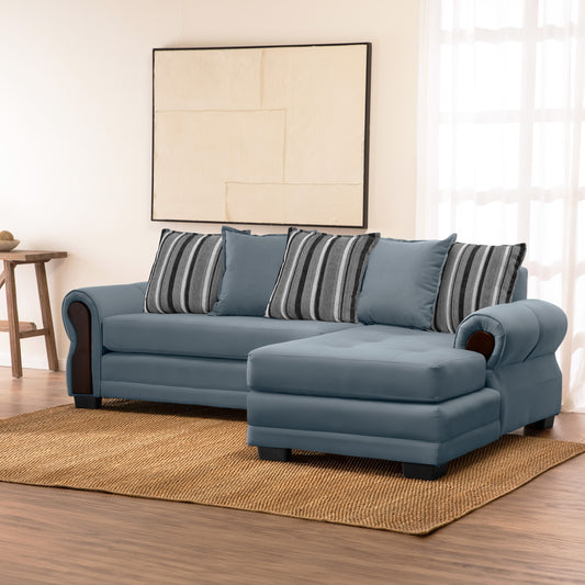 Seccional Arizona (felpa)