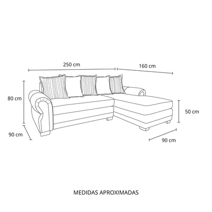 Seccional Arizona (felpa)